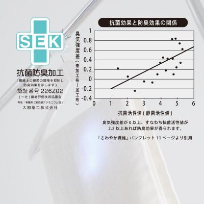 ふるさと納税 今治市 iimin 今治タオル 普段使いのフェイスタオルホワイト 31枚セット【I003890FT31W】_2
