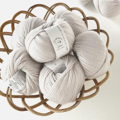 ふるさと納税 江南市 あみもねっと ウルグアイウール並太 3番色 10玉セット