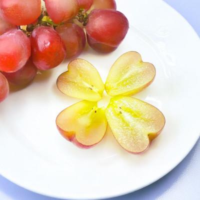 ふるさと納税 倉敷市 岡山県産マイハート 1房 [2026年9月上旬以降順次発送予定]