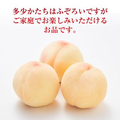 ふるさと納税 倉敷市 [ご家庭用]おかやまの桃(大玉) 3玉(合計約900g) [2026年7月〜8月発送]