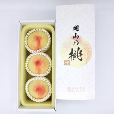 ふるさと納税 倉敷市 岡山の白桃(大玉/晩生種) 3玉(1玉約300g)[2026年8月より順次発送]