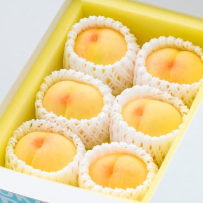 ふるさと納税 倉敷市 [ご家庭用]岡山の白桃(早生種) 5〜6玉(合計約1.3kg)2026年6月〜7月発送