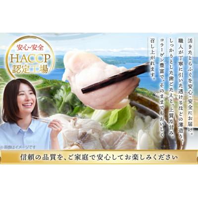 ふるさと納税 平戸市 活〆 おうごんとらふぐ 贅沢さ 仕かける 2人前 [松永水産]