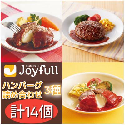 ふるさと納税 菊池市 ジョイフルハンバーグ人気の3種詰め合わせ 14個