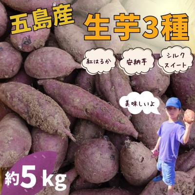 ふるさと納税 五島市 [芋蔵林]さつまいも 3種(安納芋、紅はるか、シルクスイート)約5kg