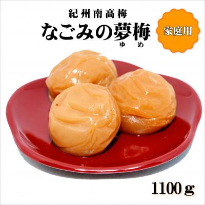 ふるさと納税 みなべ町 紀州南高梅 なごみの夢梅 1100g 家庭用(B級、C級)