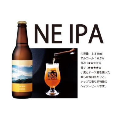 ふるさと納税 西桂町 きれいな水で醸す!!富士山麓仕込みのクラフトビールTPM BREWING【NE IPA】3本セット_1