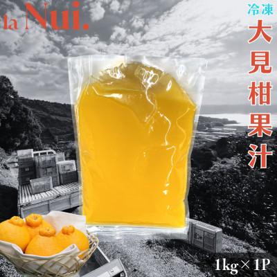 ふるさと納税 宇城市 不知火 熊本大見柑 ピューレ (冷凍) 1kg×1P 宇城市[la Nui.]