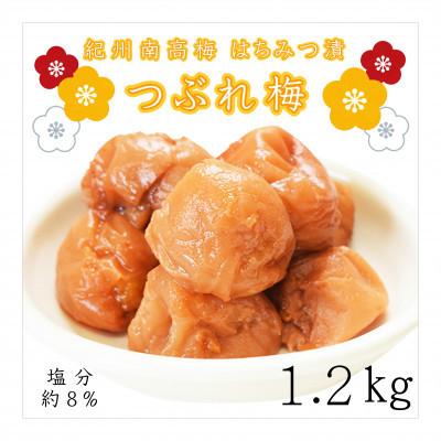 ふるさと納税 みなべ町 紀州南高梅 はちみつ漬つぶれ梅600g×2個