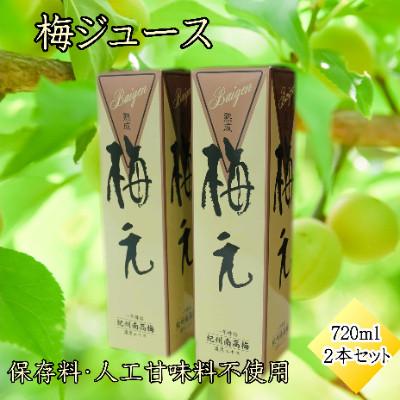 ふるさと納税 みなべ町 和歌山県産 紀州南高梅 梅エキスセット