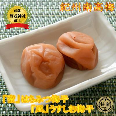 ふるさと納税 みなべ町 贈答用 梅干し 薬師梅二種ギフト 各450g