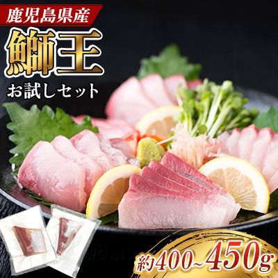 ふるさと納税 長島町 テレビで紹介ぶりの王様 「鰤王」スキンレスポーション 約400g〜450g[JFA]jfa-1599