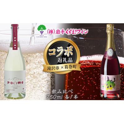 ふるさと納税 滝沢市 岩手県滝沢市×葛巻町 滝沢りんごワイン‐ポムシードル‐とほたるスパークリング赤