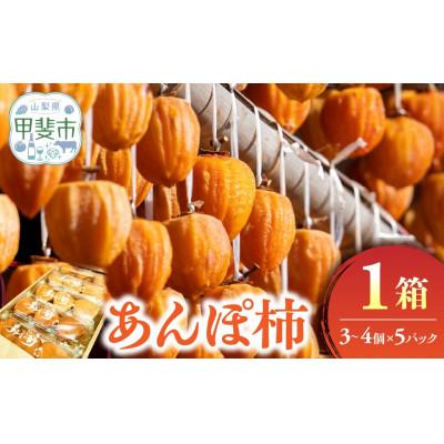 ふるさと納税 甲斐市 あんぽ柿 大箱(3-4個入り×5パック)