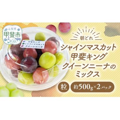 ふるさと納税 甲斐市 [ご家庭用粒]ぶどう3種(シャインマスカット・甲斐キング・クイーンニーナのミックス)約500g×2P