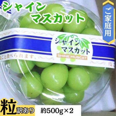 ふるさと納税 甲斐市 [ご家庭用つぶつぶ]シャインマスカット(粒)500g×2パック