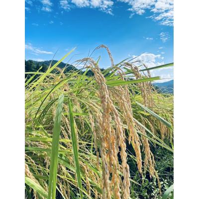 ふるさと納税 おおい町 令和8年産まちづくり米(先行予約)