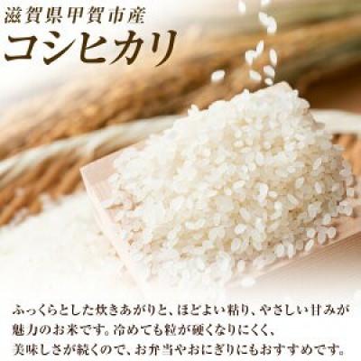 ふるさと納税 甲賀市 【令和7年産】近江米コシヒカリ玄米30kgの画像