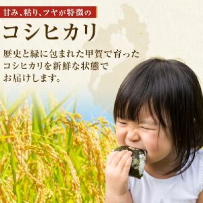 ふるさと納税 甲賀市 【令和7年産】近江米コシヒカリ玄米30kgの画像