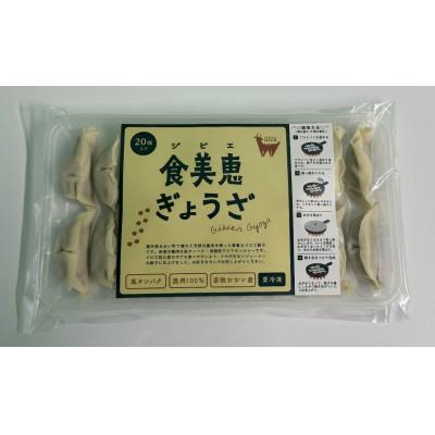 ふるさと納税 おおい町 わかさ食美恵ぎょうざ(20個入り×3パック)ジビエ