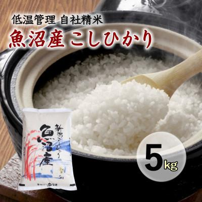ふるさと納税 十日町市 魚沼産コシヒカリ 厳選 低温管理 自社精米 5kg 新潟県