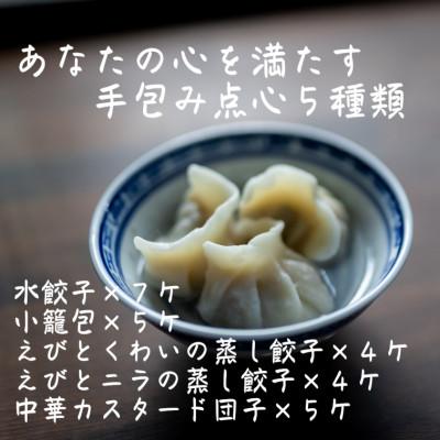 ふるさと納税 高取町 本格飲茶 特選点心セット5種(小籠包・エビ餃子2種・水餃子・カスタード団子)