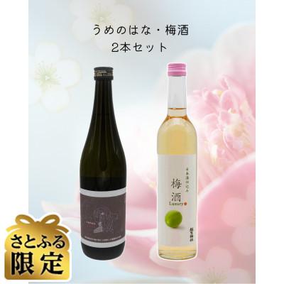 ふるさと納税 越生町 [さとふる限定]おごせの恵み2本セット