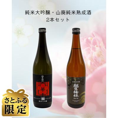 ふるさと納税 越生町 [さとふる限定]越生梅林 旨味たっぷり2本セット