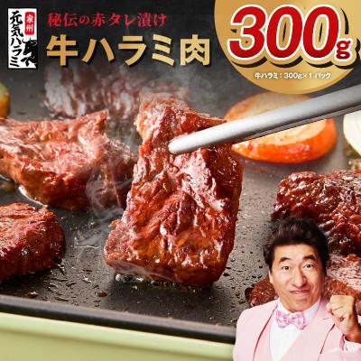 ふるさと納税 泉佐野市 [お試し]牛ハラミ 300g 秘伝の赤タレ漬け 牛肉 焼肉用 焼くだけ 小分け 010B1883