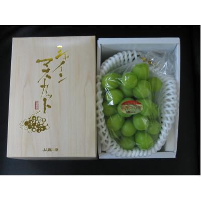 ふるさと納税 三豊市 [8月31日(夏休み)までの期間限定!!]シャインマスカット 1房(580g以上)化粧箱入り