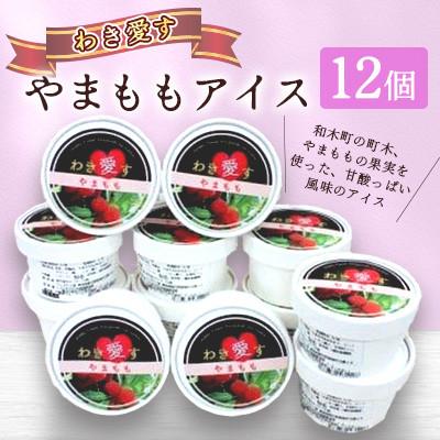 ふるさと納税 和木町 アイスクリーム「わき愛す」やまもも 12個