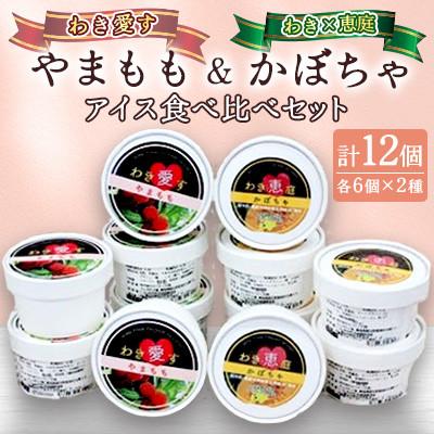 ふるさと納税 和木町 「アイスクリーム」2種(やまもも6個、かぼちゃアイス6個)食べ比べセット