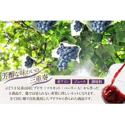 ふるさと納税 韮崎市 ぶどう3兄弟(ワイン・ジュース・ヴェルジュ)4本セット_1