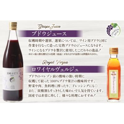ふるさと納税 韮崎市 ぶどう3兄弟(ワイン・ジュース・ヴェルジュ)4本セット_2