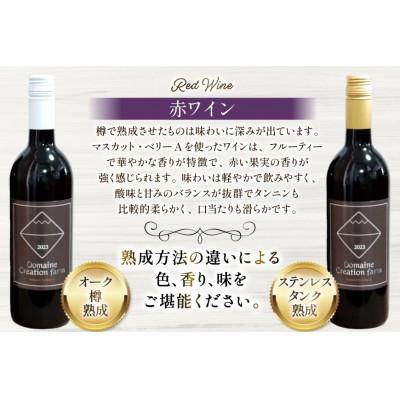 ふるさと納税 韮崎市 ぶどう3兄弟(ワイン・ジュース・ヴェルジュ)4本セット_3