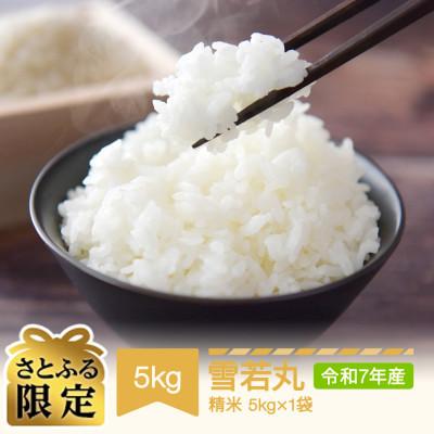 ふるさと納税 村山市 [さとふる限定]新生活応援米 雪若丸 精米 5kg