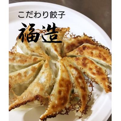 ふるさと納税 浜松市 こだわり餃子 福造20個入り