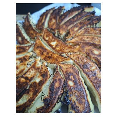 ふるさと納税 浜松市 すえひろ[しょうが]餃子20個入り