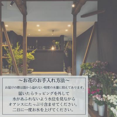 ふるさと納税 中間市 【margue】季節のアレンジメントフラワーB 〜6月より順次発送〜の画像