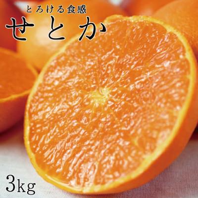 ふるさと納税 太地町 ジューシー柑橘 せとか 約3kg[予約]※R8年2月下旬頃〜3月下旬頃発送予定[uot506A]