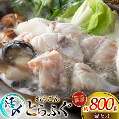 ふるさと納税 平戸市 活〆 おうごんとらふぐ 満腹 鍋セット 約800g [松永水産]