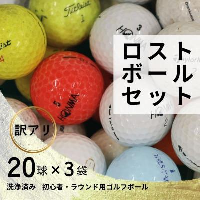 ふるさと納税 河内長野市 ロストボール 20球×3袋 ゴルフボール 中古 洗浄済み