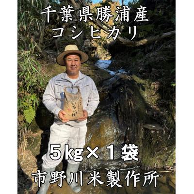 ふるさと納税 勝浦市 千葉県勝浦産コシヒカリ(精米)5kg