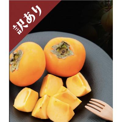 ふるさと納税 浜松市 [2026年先行予約]11月1日〜順次発送 テルの次郎柿 静岡県浜松市産 家庭用14〜18玉 3kg