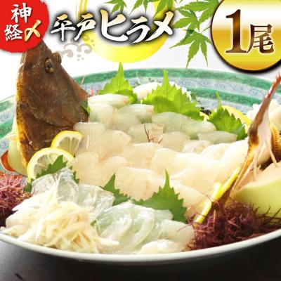 ふるさと納税 平戸市 神経〆平戸ひらめ 1尾 1〜1.5kg 内臓処理済[イワミ水産]