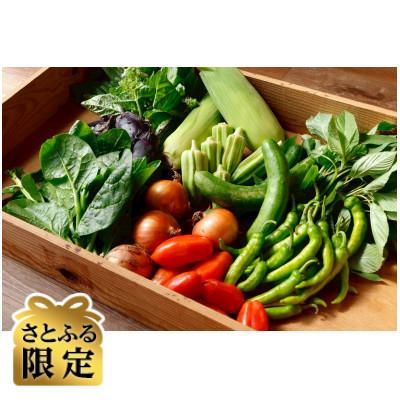 ふるさと納税 いなべ市 [さとふる限定]旬の野菜9品詰め合わせ 栽培期間中農薬肥料不使用