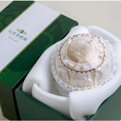 ふるさと納税 岡山市 あたご梨 1玉 贈答箱 赤秀 約1.1kg玉(A1-11)