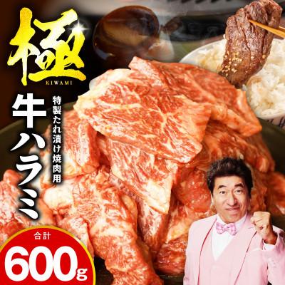 ふるさと納税 泉佐野市 [お試し]牛肉 ハラミ 600g(300g×2P)[氷温熟成×特製ダレ]