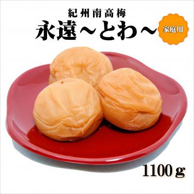 ふるさと納税 みなべ町 紀州南高梅 永遠〜とわ〜 1100g 家庭用(B級、C級)