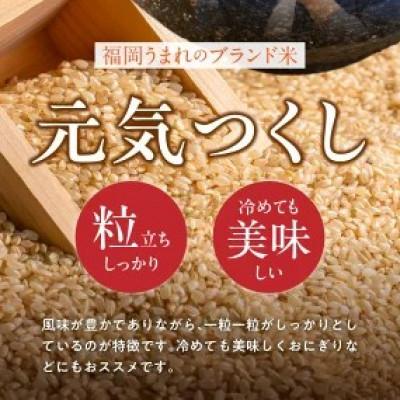 ふるさと納税 久留米市 先行予約【令和8年産】福岡県産ブランド米 元気つくし(玄米) 30kg(久留米市)の画像